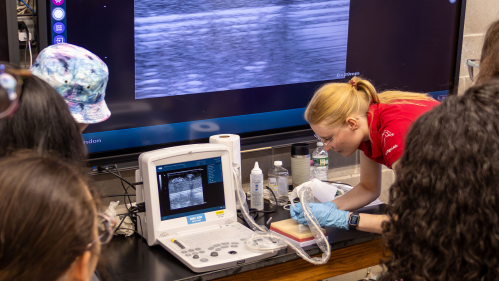 A researcher at work.