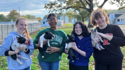Students holding baby pigs.