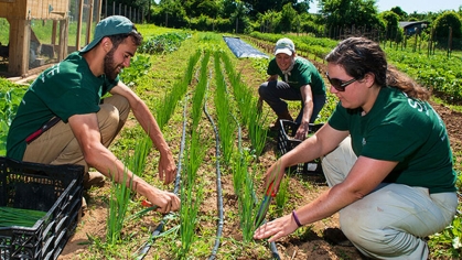 Students working in a field.