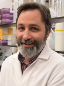 Nicholas T. Bello headshot.