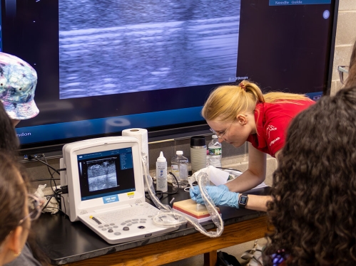 A researcher at work.