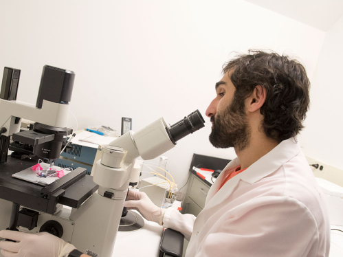 A graduate student in a lab.